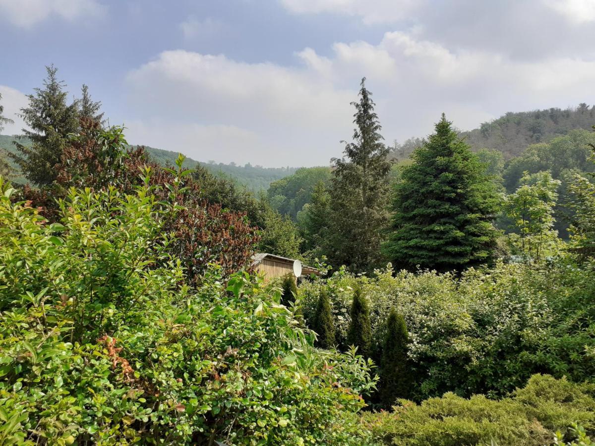 באד ביברה Talblick 2 - Ihr Zuhause : Das Ferienhaus Mitten Im Idyllischen Tal מראה חיצוני תמונה
